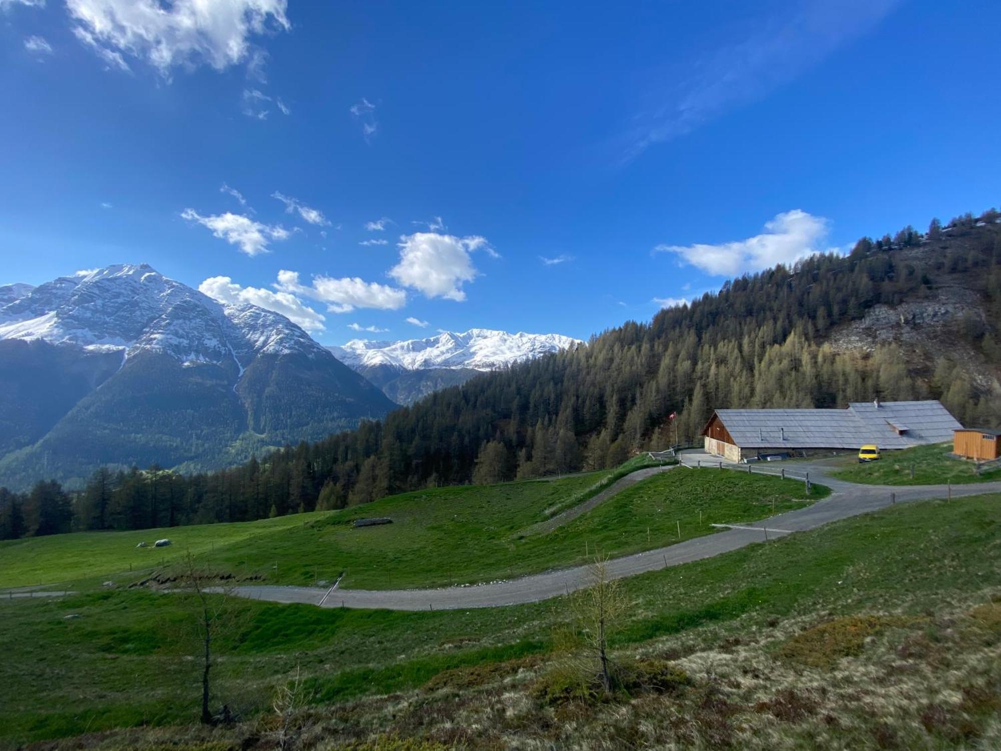 Alp Es-Cha Dadour Bed and Breakfast Madulain Exteriör bild