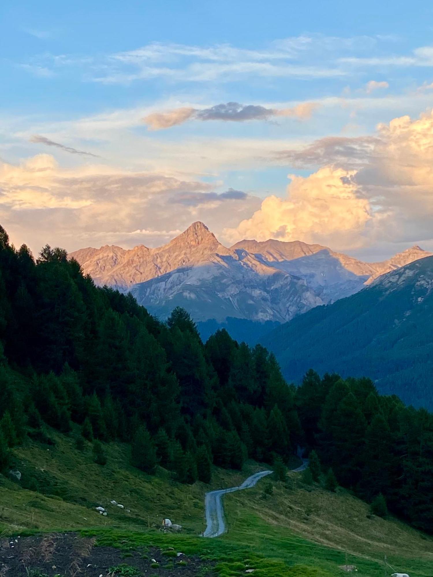 Alp Es-Cha Dadour Bed and Breakfast Madulain Exteriör bild