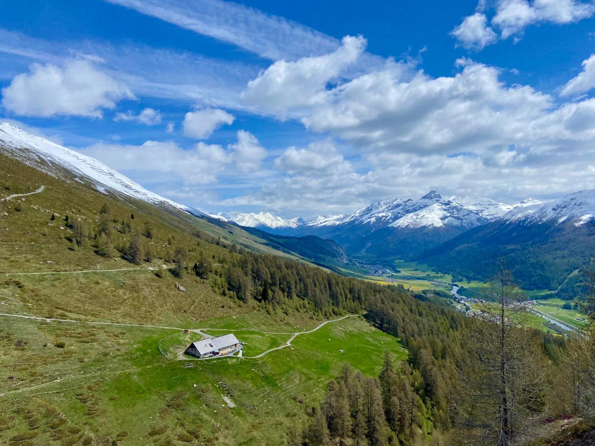 Alp Es-Cha Dadour Bed and Breakfast Madulain Exteriör bild
